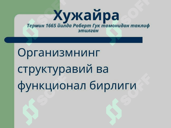 HUJAYRA PATOFIZIOLOGIYASI 2