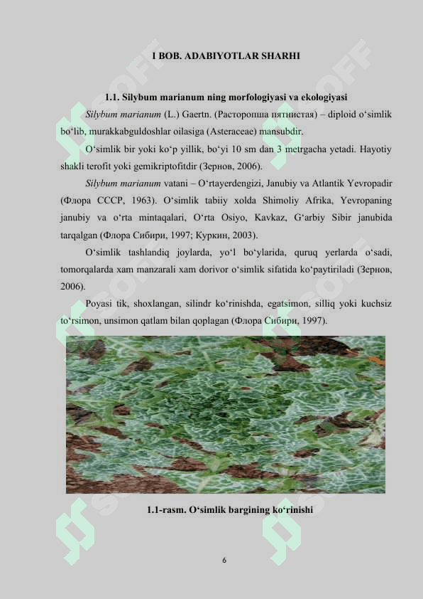 SIRDARYO VILOYATI SILYBUM MARIANUM(L)NING BIOEKOLOGIK XUSUSIYATLARI 6