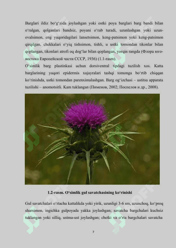 SIRDARYO VILOYATI SILYBUM MARIANUM(L)NING BIOEKOLOGIK XUSUSIYATLARI 7