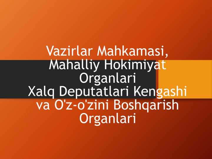 Vazirlar Mahkamasi, Mahalliy Hokimiyat Organlari Xalq Deputatlari Kengashi va O'z-o'zini Boshqarish Organlari