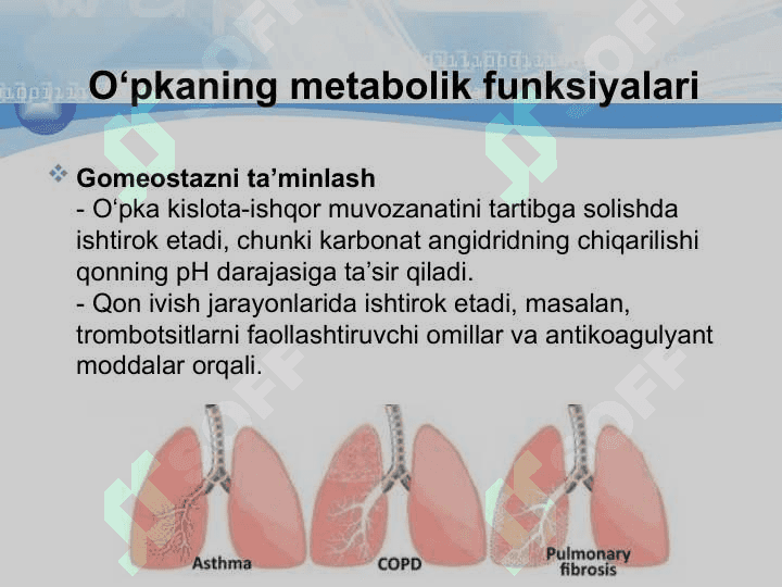 O‘pkaning metabolik funksiyalari va ularning buzilishlari 8