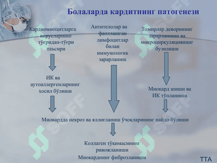 НОРЕВМАТИК КАРДИТЛАР 6