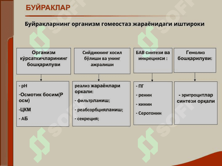 БУЙРАК КАСАЛЛИГИ БИЛАН ОҒРИГАН БЕМОРЛАРНИ ТЕКШИРИШ. АСОСИЙ КЛИНИК СИНДРОМЛАР. БУЙРАК ЕТИШМОВЧИЛИГИ 3