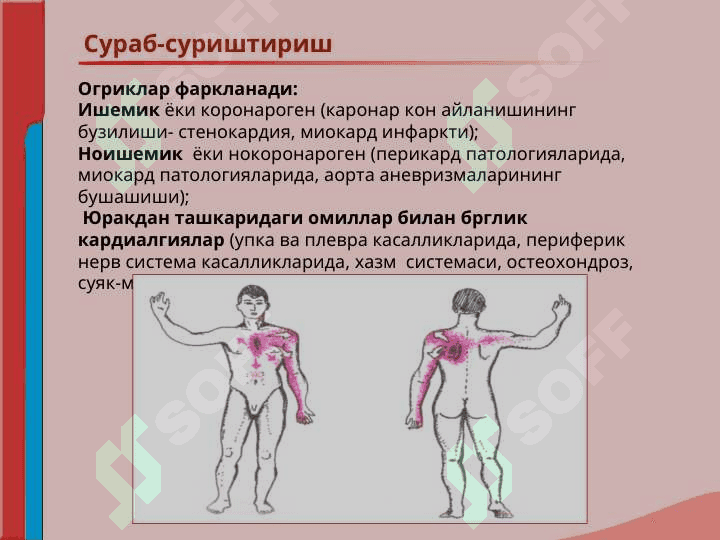 Кон айланиш системаси касалликлари билан касалланган беморларни текшириш. Сураб суриштириш, куздан кечириш. Юрак пальпацияси ва перкуссияси. 7