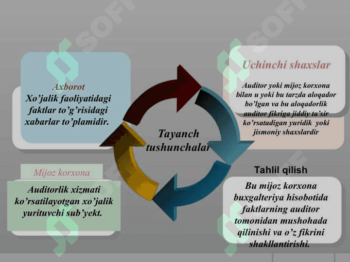 Auditorlik dalillar 7