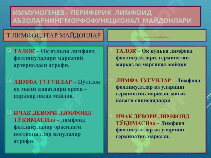 IMMUNOPATOLOGIK JARAYONLAR 3
