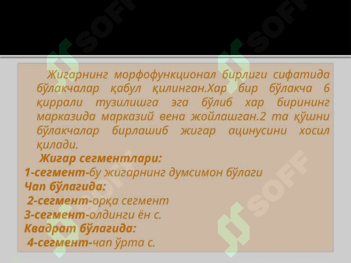 JIGAR VA TALOQ ANATOMIYASI 6