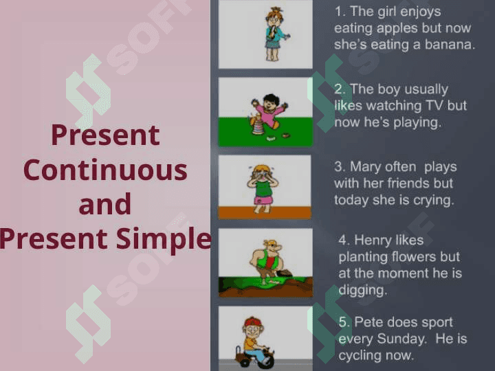The fundamentals of English grammar 7