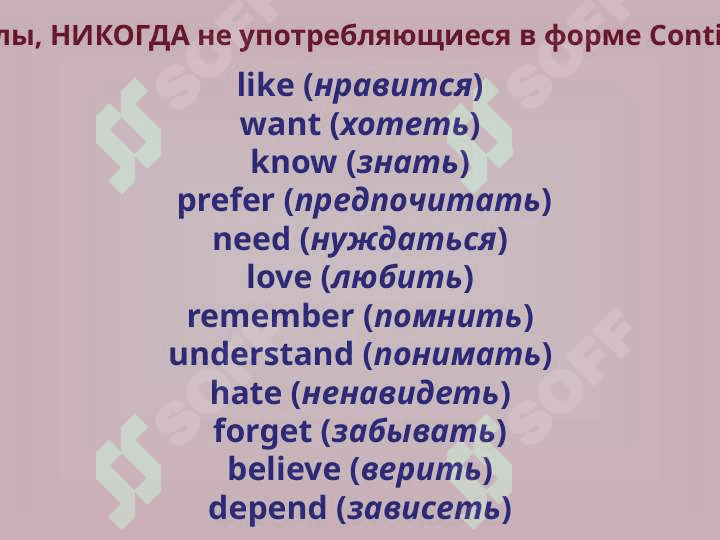 The fundamentals of English grammar 8