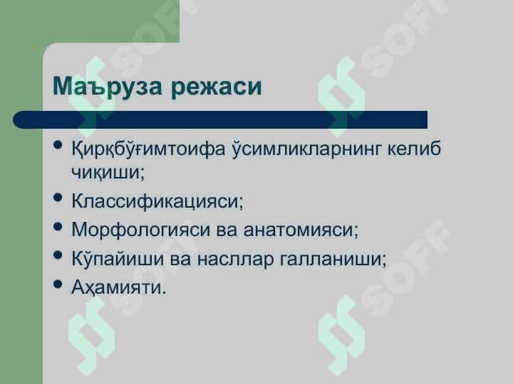 Қирқбўғимтоифа ўсимликлар (Equisetophyta) бўлими(презентация) 2