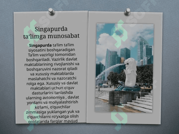 Singapur ta’lim tizimi 3