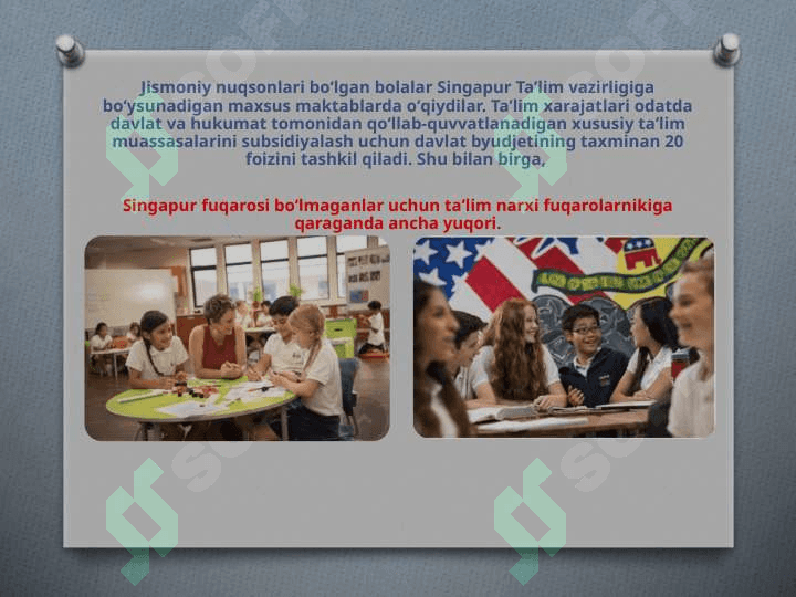 Singapur ta’lim tizimi 4