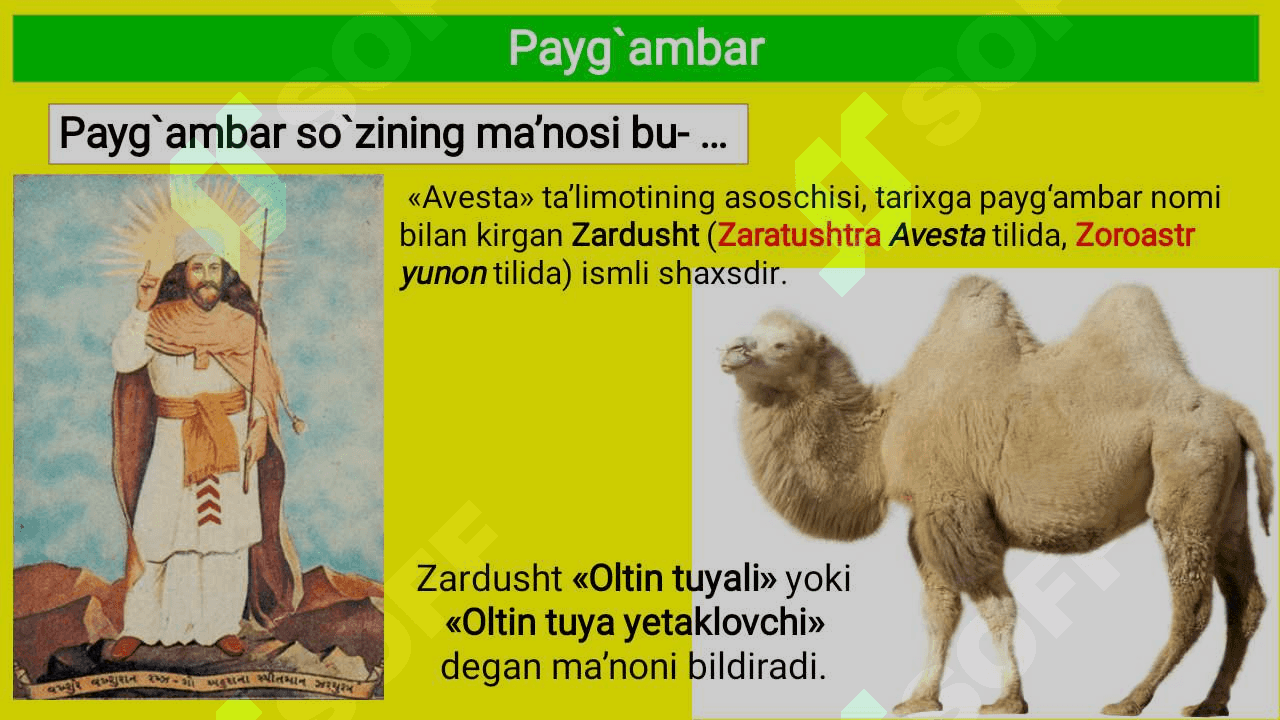 Avesto-qadimgi tarixni oʻrganishda noyob manba 7