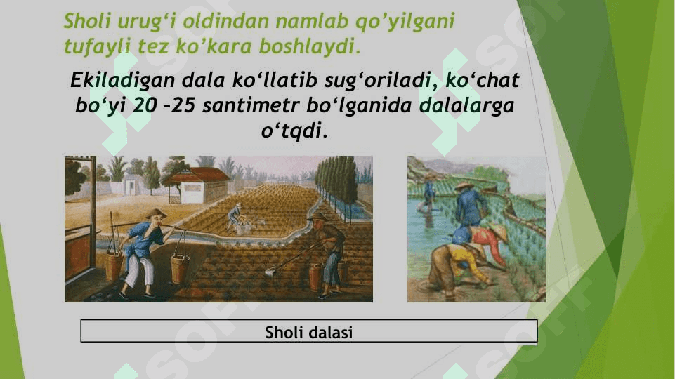 Qadimgi Xitoy sivilizatsiya” mavzusiga oid internet materiallari asosida fotoalbom tayyorlash 4