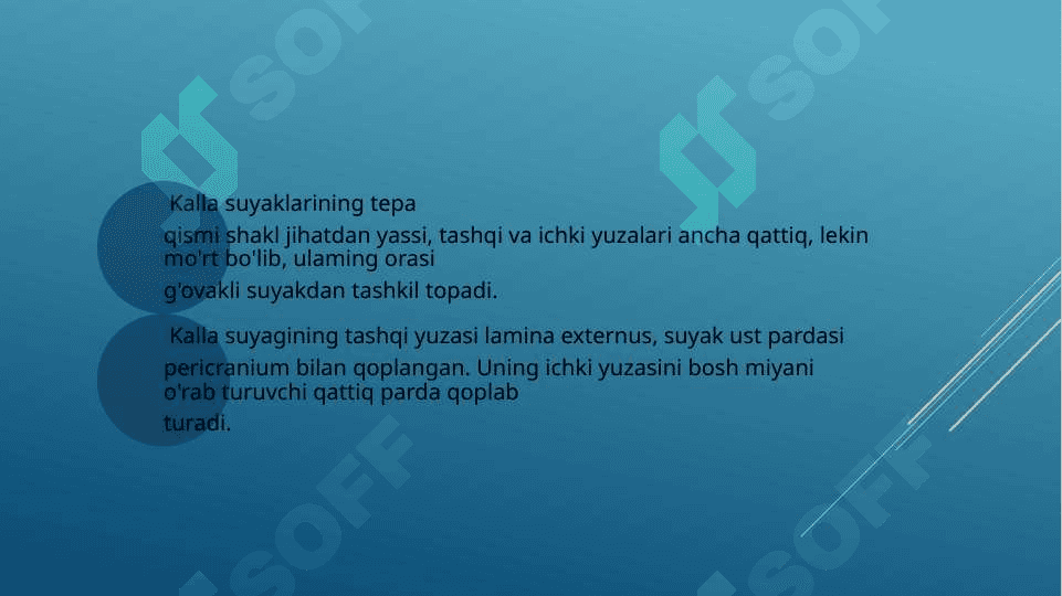 Kalla suyaklari 3