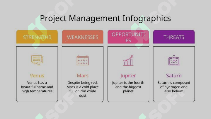 Project Management Infographics 7