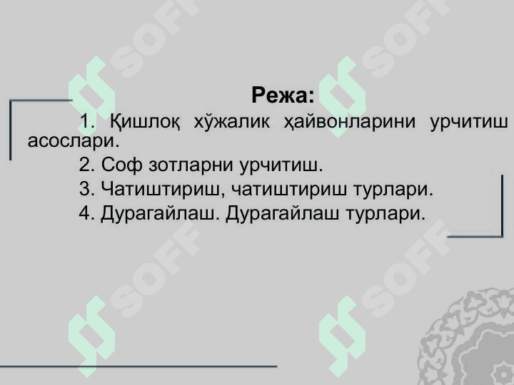Қишлоқ хўжалик ҳайвонларини урчитиш асослари. Урчитиш усуллари 2