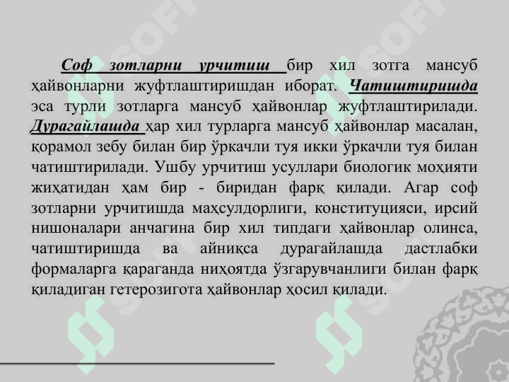 Қишлоқ хўжалик ҳайвонларини урчитиш асослари. Урчитиш усуллари 4