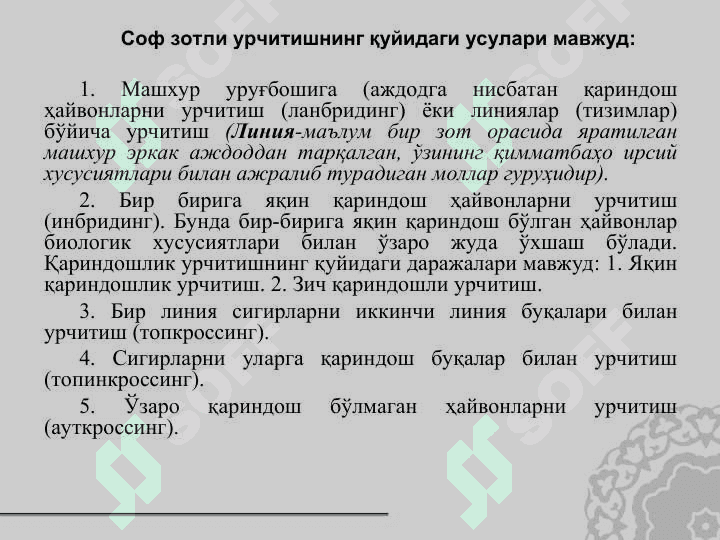 Қишлоқ хўжалик ҳайвонларини урчитиш асослари. Урчитиш усуллари 6