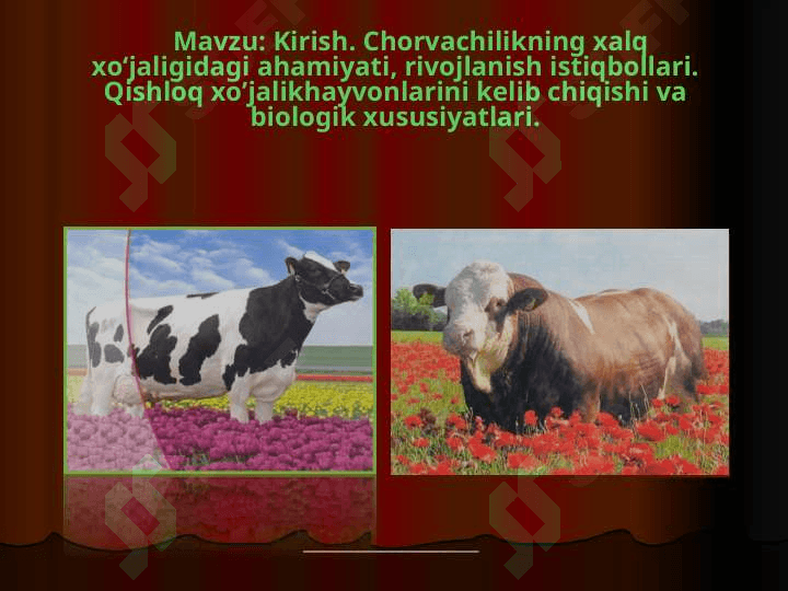 Kirish. Chorvachilikning xalq xo‘jaligidagi ahamiyati, rivojlanish istiqbollari. Qishloq xo’jalikhayvonlarini kelib chiqishi va biologik xususiyatlari 2