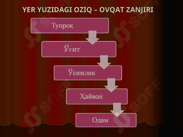Kirish. Chorvachilikning xalq xo‘jaligidagi ahamiyati, rivojlanish istiqbollari. Qishloq xo’jalikhayvonlarini kelib chiqishi va biologik xususiyatlari 5