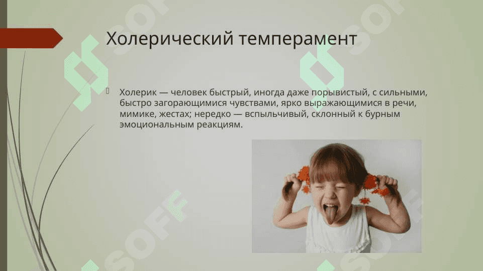 Понятие темперамента в общей психологии 4