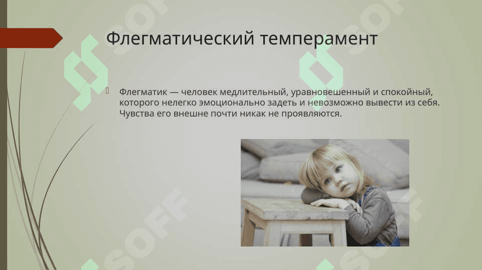 Понятие темперамента в общей психологии 7
