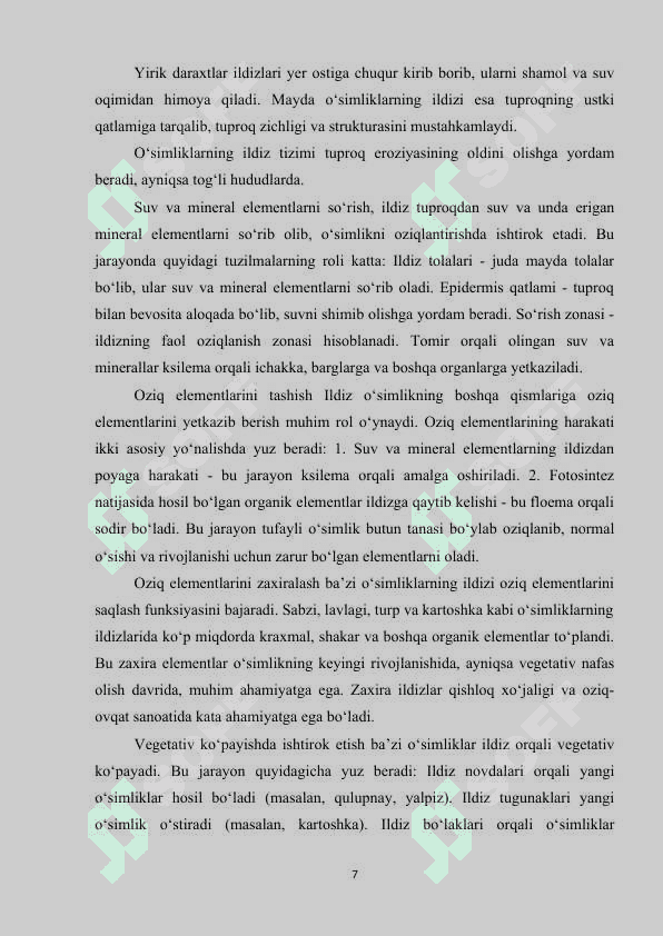 Ildizmevalarning anatomik tuzilishidagi kambiy hujayrasining roli 7