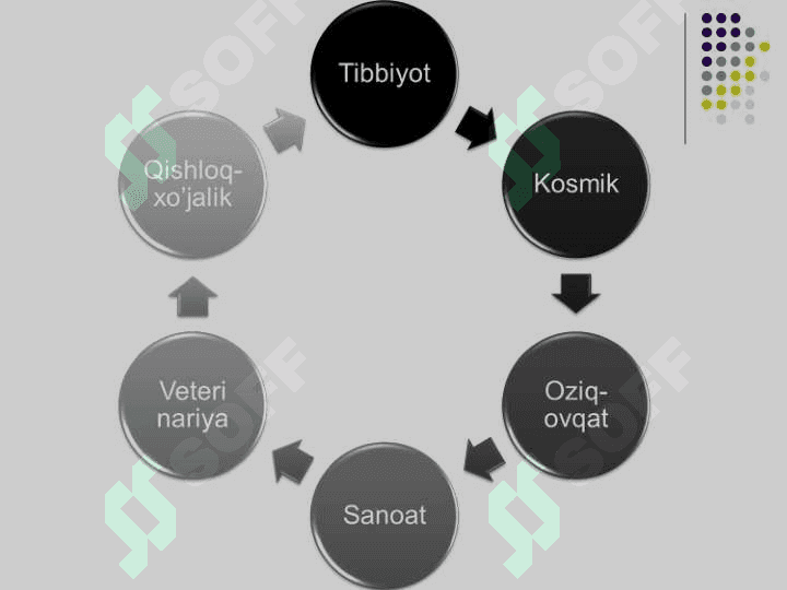 Микробиология, вирусология ва иммунология фани,унинг максади ва вазифалари. Микроорганизмларнинг морфологияси pptx 6
