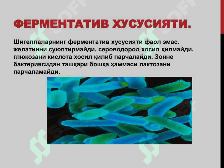 dizenteriya (ichburug`) pptx 5