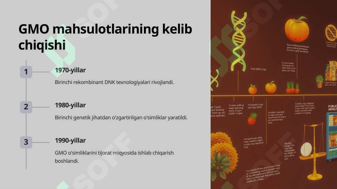 GMO mahsulotlari: Afzalliklari va kamchiliklari pptx 3