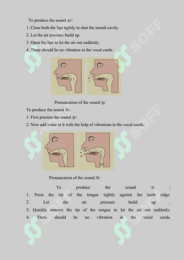 CONSONANT SOUNDS IN THE  SPOKEN LANGUAGE 6
