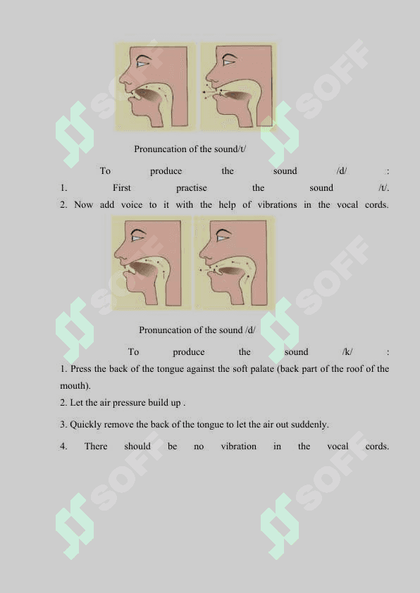 CONSONANT SOUNDS IN THE  SPOKEN LANGUAGE 7