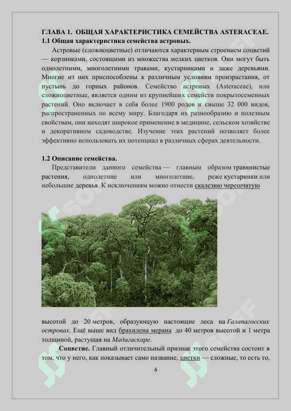 ОСНОВНЫЕ ВИДЫ СЕМЕЙСТВА АСТРОВЫХ (ASTERACEAE) И ИХ ПРАКТИЧЕСКОЕ ЗНАЧЕНИЕ 5