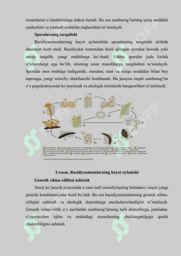 Bazidiyasimonlar vakillari, tarqalishi va xususiyatlari 8
