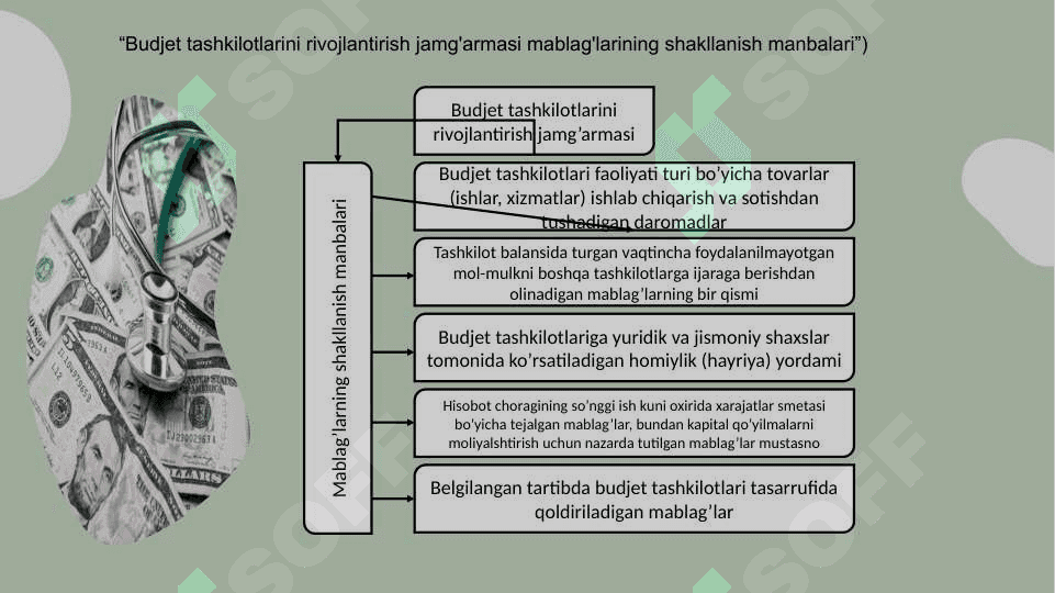 BUDJET TASHKILOTLARI  BUDJETDAN TASHQARI  MABLAG‘LARINING G‘AZNA IJROSINI TASHKIL QILISH 5