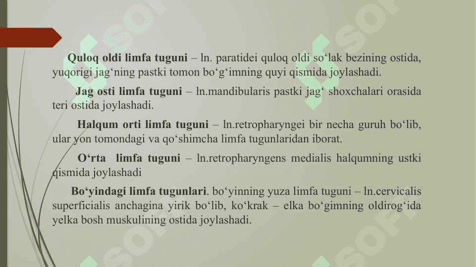 Limfa aylanish tizimining anatomik tuzilishi 2