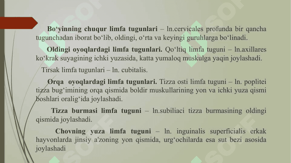 Limfa aylanish tizimining anatomik tuzilishi 3