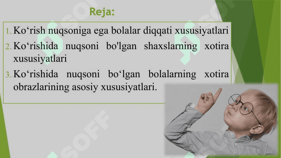Ko‘rish nuqsoniga ega bolalar diqqati va xotirasining o‘ziga xosligi 2