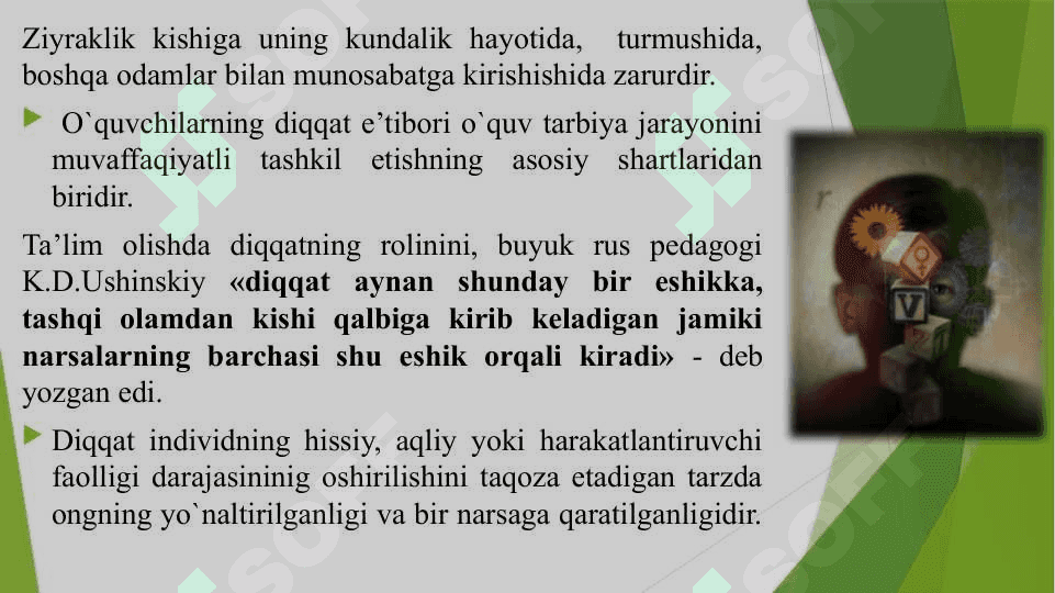 Ko‘rish nuqsoniga ega bolalar diqqati va xotirasining o‘ziga xosligi 4