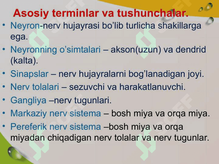 Neyron va nerv tolalarining yoshga bogliq xususiyatlari. 3