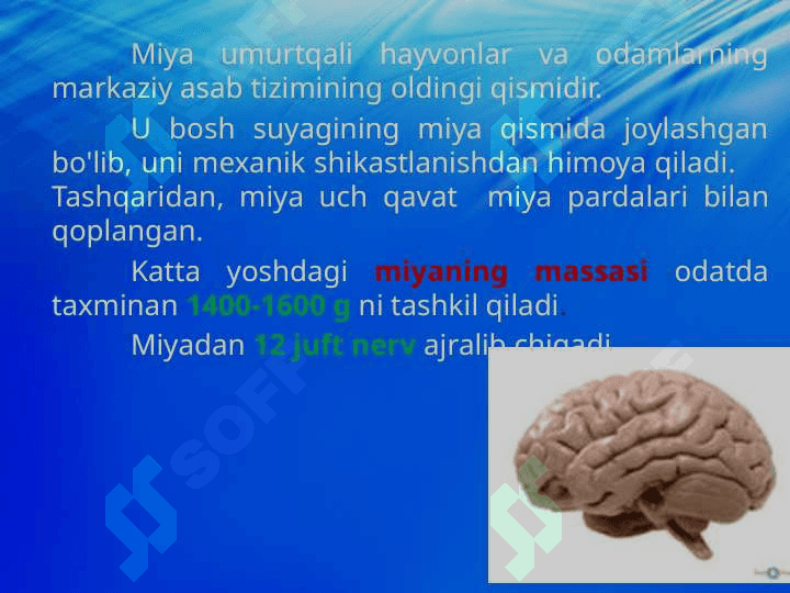 Qo‘zg‘alish va tormozlanish jarayonlarining o‘zaro ta’siri. 0‘quvchi va talabalarning psixologik xususiyatlari 6