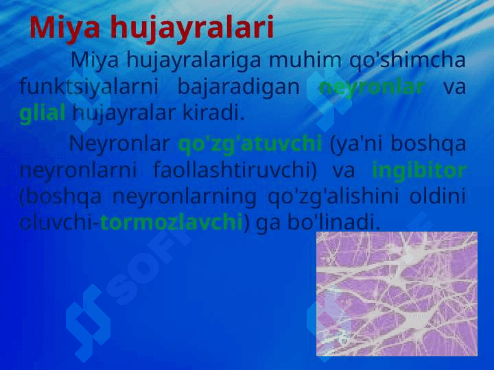 Qo‘zg‘alish va tormozlanish jarayonlarining o‘zaro ta’siri. 0‘quvchi va talabalarning psixologik xususiyatlari 7