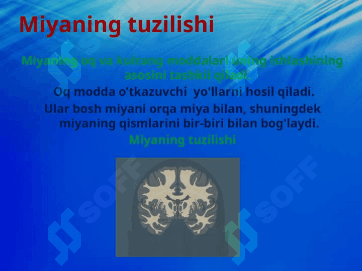 Qo‘zg‘alish va tormozlanish jarayonlarining o‘zaro ta’siri. 0‘quvchi va talabalarning psixologik xususiyatlari 8