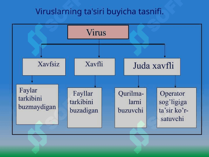 Kasperskiy Doctor web Nortot antivirus dasturlari 2