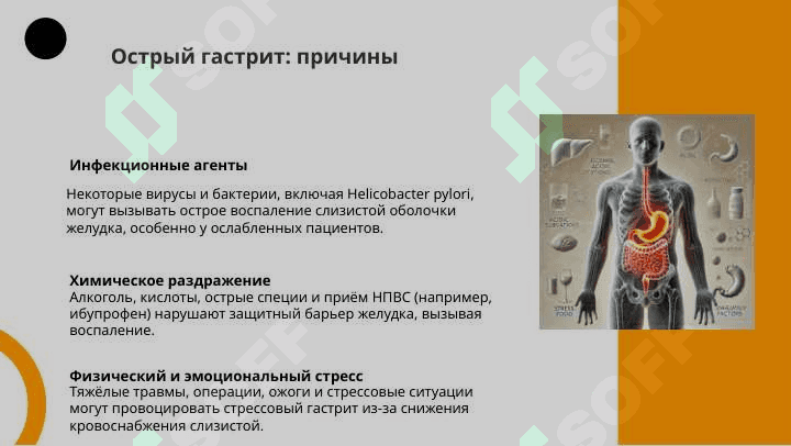 Презентация на тему ЖКТ 6