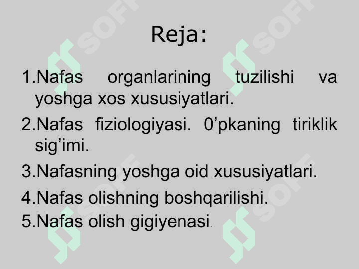 Nafas organlarining tuzilishi va yoshga xos xususiyatlari 2