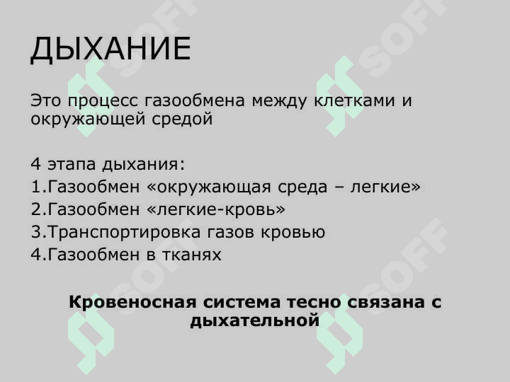 Nafas organlarining tuzilishi va yoshga xos xususiyatlari 3