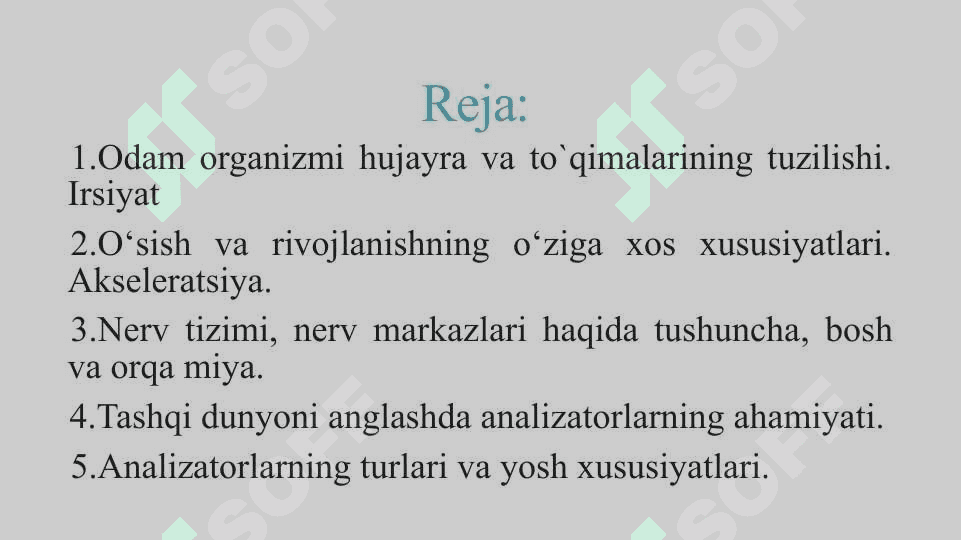 O‘sish va rivojlanishning umumiy qonuniyatlari. Organizm va muhit. Bolalar nerv tizimining tuzilishi, fiziologiyasi va gigiyenasi. Analizatorlarning yosh xususiyatlari va gigiyenasi 2