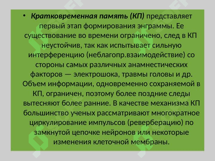 Изучение объема кратковременной и оперативной памяти 6
